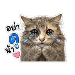 Mumu_20260503211237