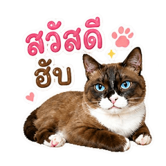 pumpui_20260503212658