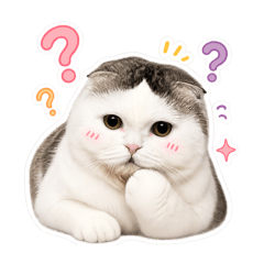 Sojucat_20260503213656