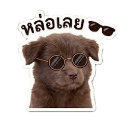 Lookmee_20260503214036