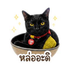 Maewsite_20260503213834