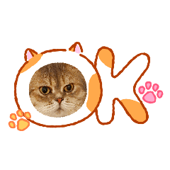 Mirai_20260630223420