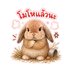 Mixxhao_20260701052429