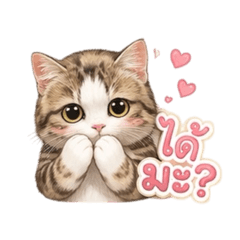Moji_20260701115342