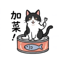 貓咪貼圖，酷喔