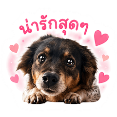 Lodchong Happy Little Dog