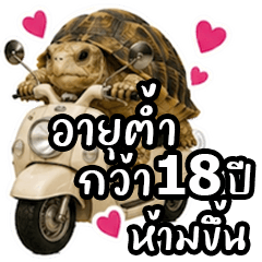 Rainy is going on a trip -1