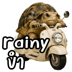 Rainy is going on a trip-3