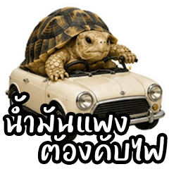 Rainy is going on a trip - 2