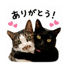 KAZUHIKO_20260627165528