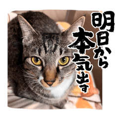 Natsumi_20260628012840