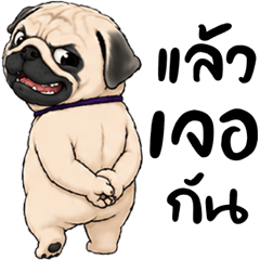 The Pug_Wrinkly Faced Dog V.3