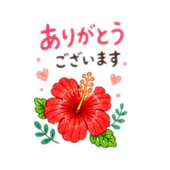 Aloha Hibiscus2