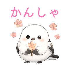 shiromatuge_20260628082656
