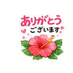 Aloha Hibiscus