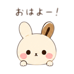 SHIHO_20260628094815