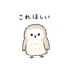 mikko_20260628112435