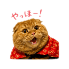 S.Kunio_20260628121905
