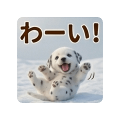 Fumi_20260628131743