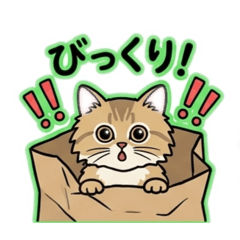 S.Kunio_20260628131942