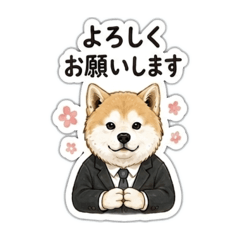 toshi_20260628132504