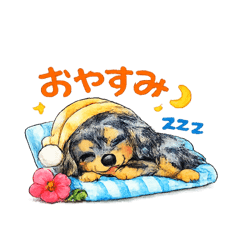 ayu18_20260628153439