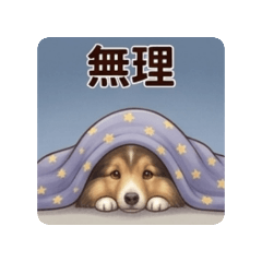 Fumi_20260628152845
