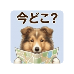 Fumi_20260628162232
