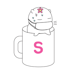 BORACO in cup S