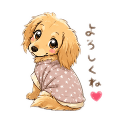 nori_20260628182515