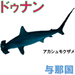 YONAGUNI'S FISH SPEAKS IN DIALECT