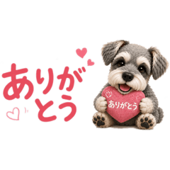 Buddy the Miniature Schnauzer Vol.1