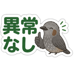 Chito_20260628184340