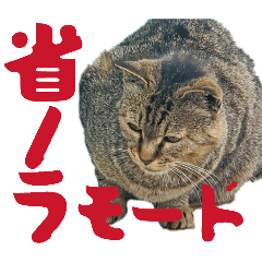 katokichi_20260628193241