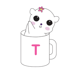 BORACO in cup T