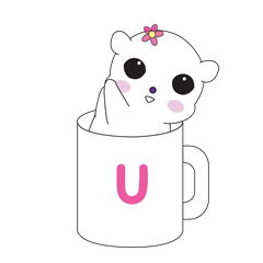 BORACO in cup U