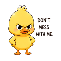 duckiii