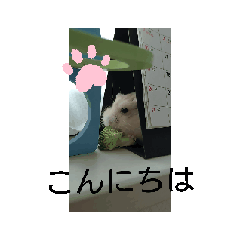 sumikko_20260703185107