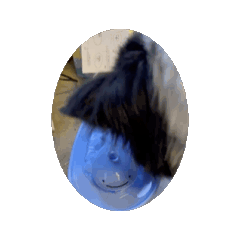 Mizupa_20260703194814