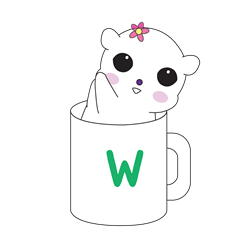 BORACO in cup W