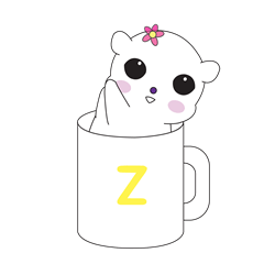 BORACO in cup Z
