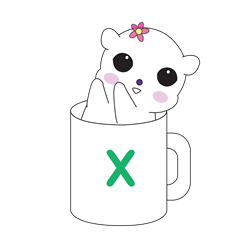 BORACO in cup X