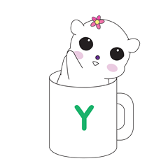 BORACO in cup Y