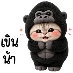 Chubby cute cat in Gorilla outfit