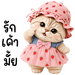 Chubby cute cat in cute pink outfit