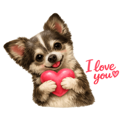 Chocolate_20260628105015