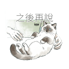 金孫大寶寶