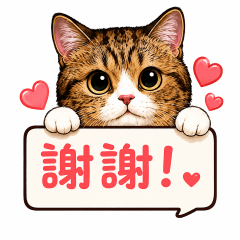 福醬的快樂生活