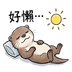 Bobo the Otter's Daily Drama
