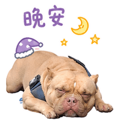 哇系米漿